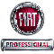 fiat_professional_small